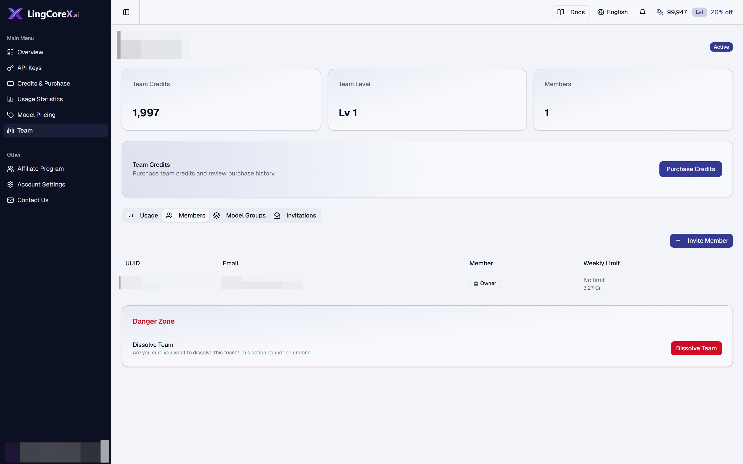 Team dashboard overview showing credits, level, members, usage tabs, and member table.