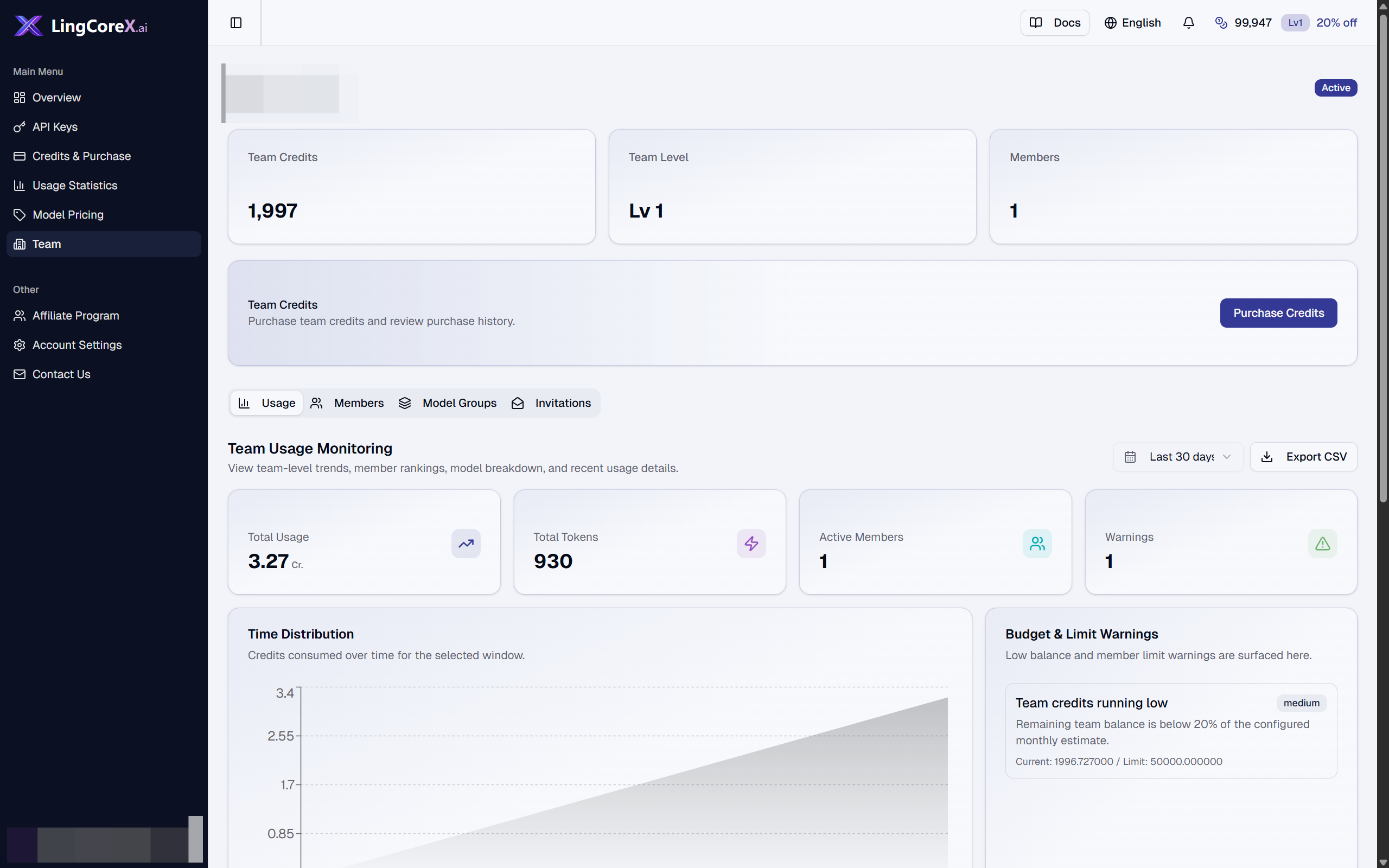 Team usage panel with charts and usage breakdowns.
